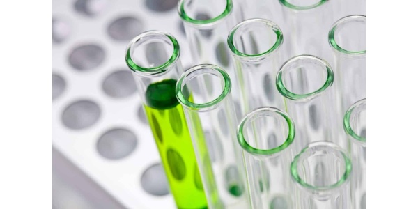 Evaluating Risk in the Science Classroom