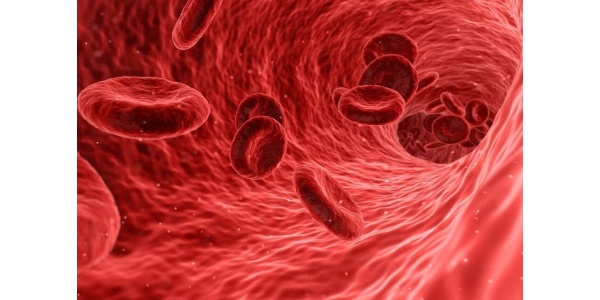 Bloodborne Pathogens