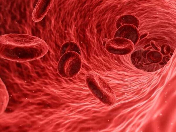 Illustration of red blood cells flowing through a blood vessel