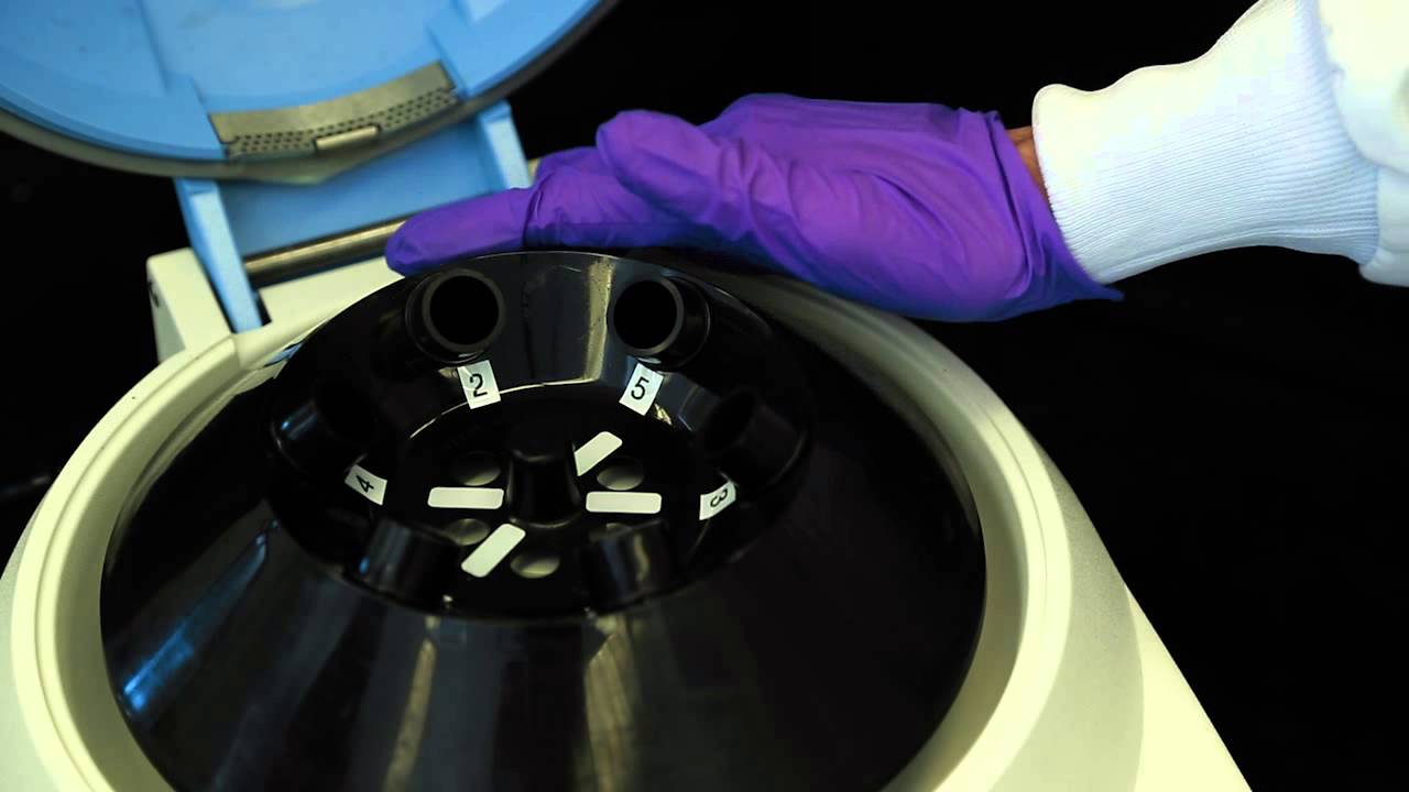 General Safety Protocols for High School Science Educators