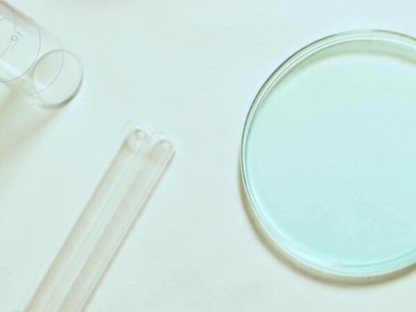 Empty test tubes and a petri dish on a pale surface