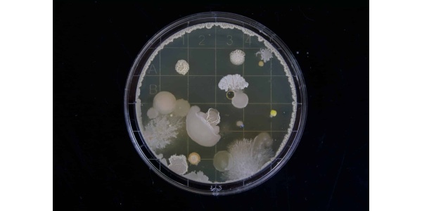 Biology Lab Equipment