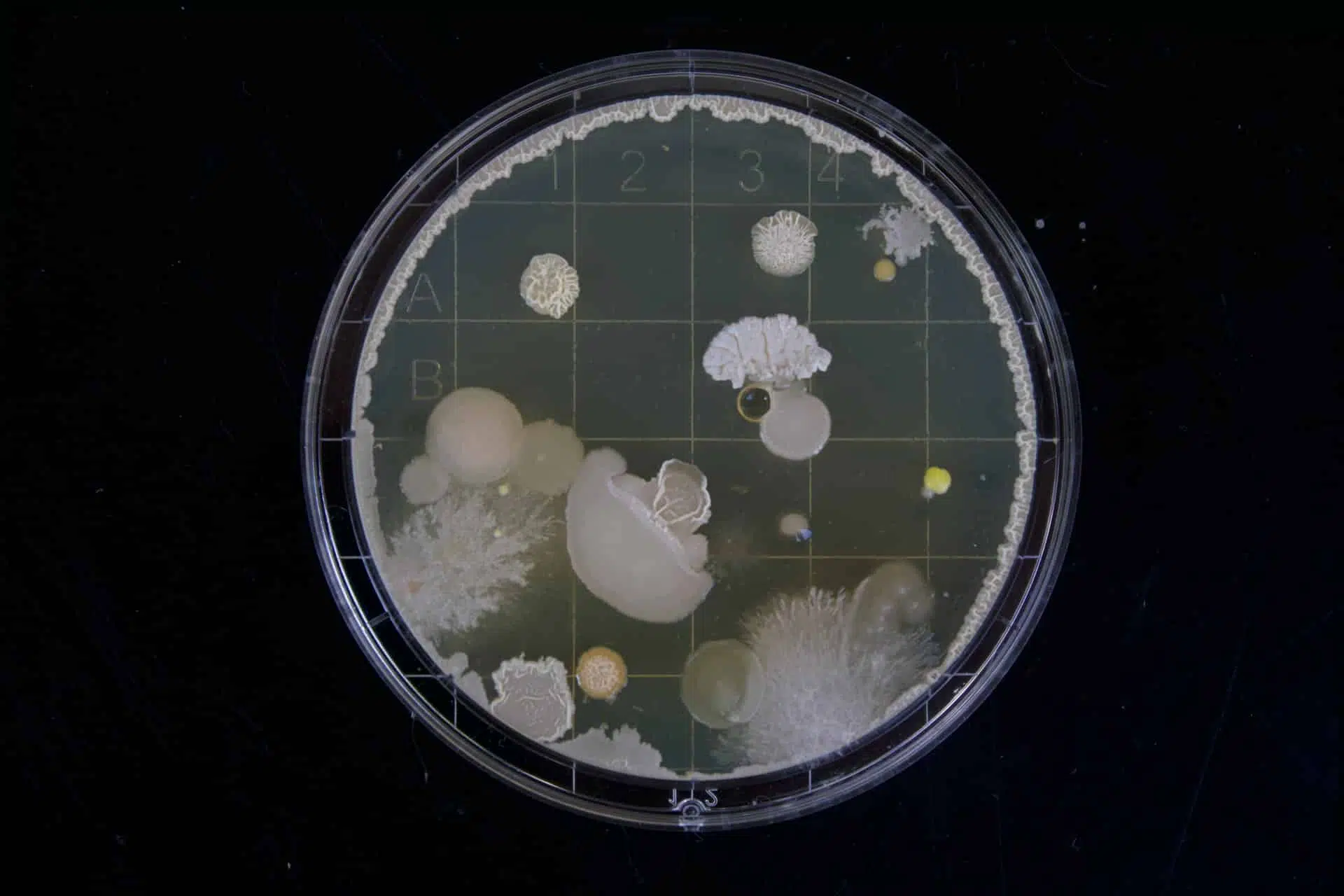 Biology Lab Equipment