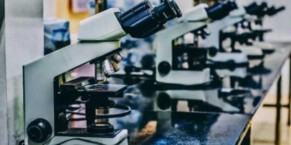 Chemical Inventory Review