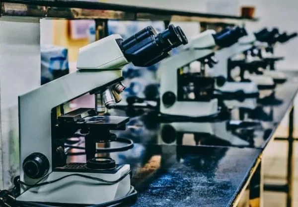Row of microscopes on a lab bench
