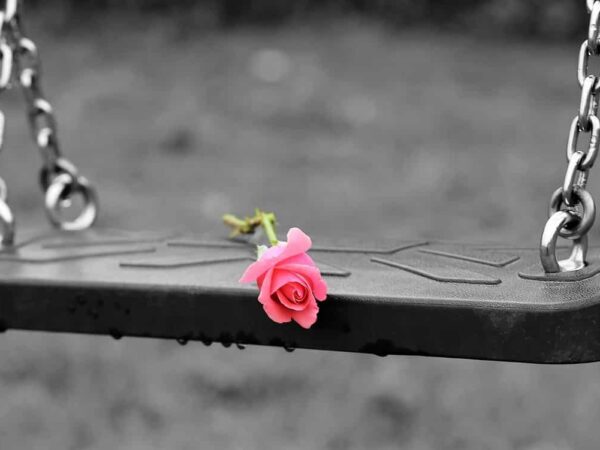 Pink rose lying on an empty swing, in black and white except for the rose