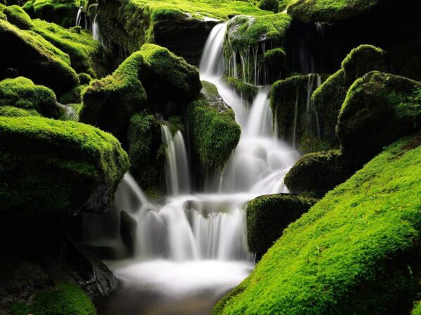 Small waterfall flowing over moss-covered rocks