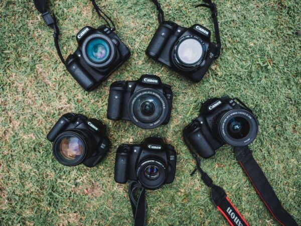 Cameras on the grass | Science Safety Photography Safety