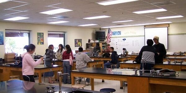 SEL, Science, and STEM