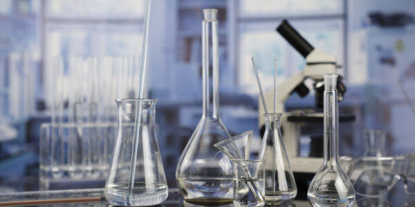 Secondary Science Department Chair (High School)
