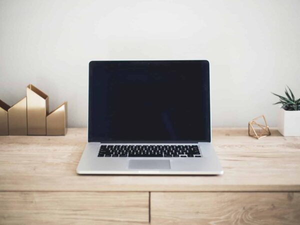Laptop on a wooden desk with a small plant