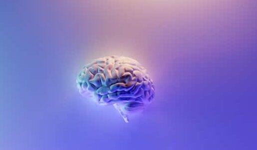 Concussion Safety Training