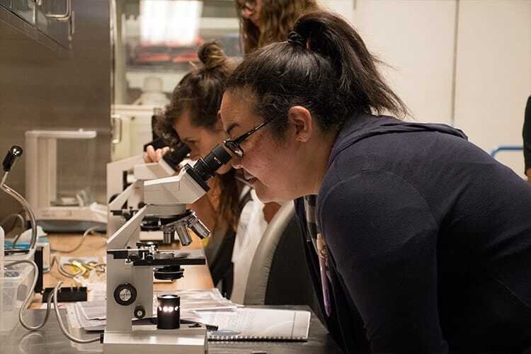 Teachers looking through microscopes at a science workshop