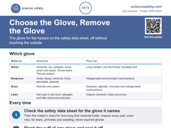 Choose the Glove, Remove the Glove Poster