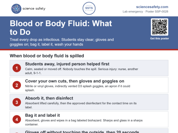 Blood or Body Fluid: What to Do Poster