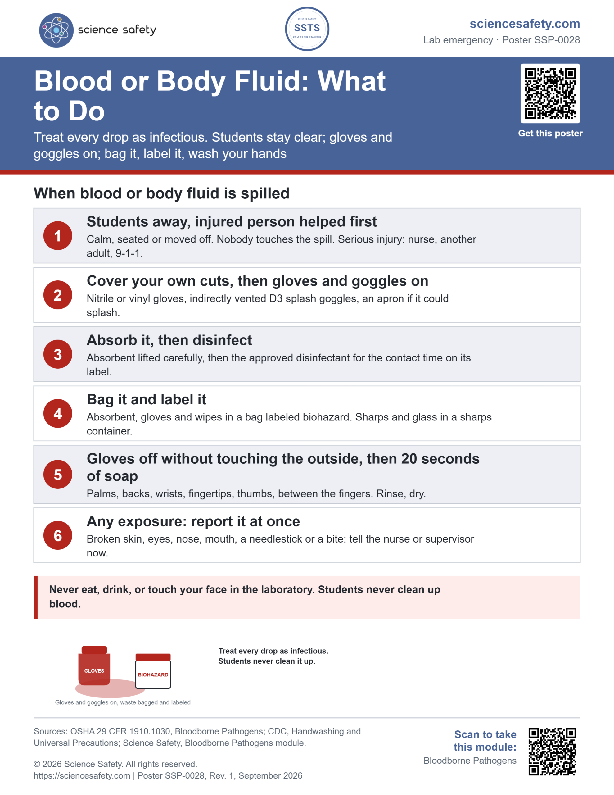 Science Safety poster SSP-0028: Blood or Body Fluid, What to Do. Six steps: students away and the injured helped first, cover cuts then gloves and goggles, absorb then disinfect, bag and label as biohazard waste, gloves off and twenty seconds of soap, report any exposure at once, with a warning never to eat, drink or touch your face in the lab and that students never clean up blood.